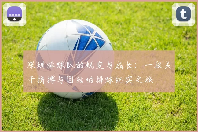 深圳排球队的蜕变与成长：一段关于拼搏与团结的排球纪实之旅