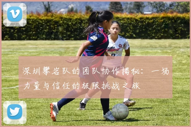 深圳攀岩队的团队协作揭秘：一场力量与信任的极限挑战之旅