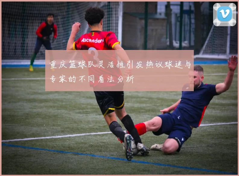 重庆篮球队灵活性引发热议球迷与专家的不同看法分析