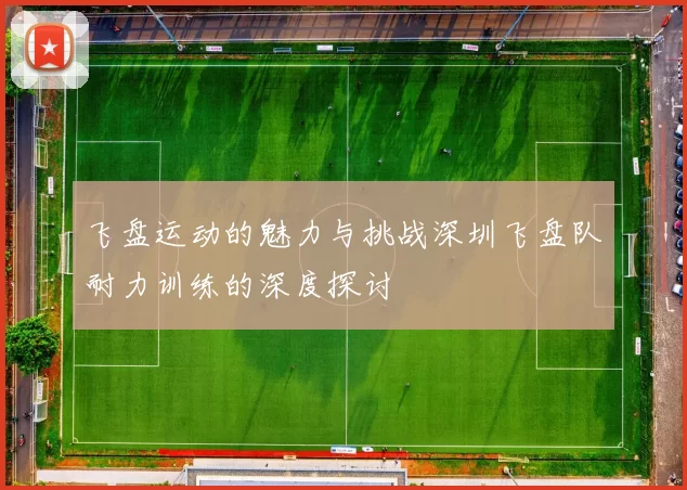飞盘运动的魅力与挑战深圳飞盘队耐力训练的深度探讨