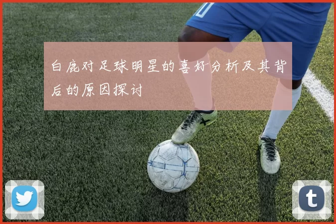 白鹿对足球明星的喜好分析及其背后的原因探讨