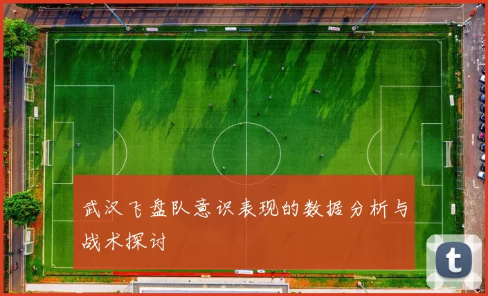 武汉飞盘队意识表现的数据分析与战术探讨