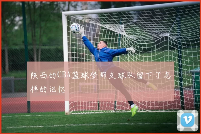 陕西的CBA篮球梦那支球队留下了怎样的记忆