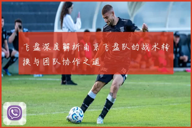 飞盘深度解析南京飞盘队的战术转换与团队协作之道