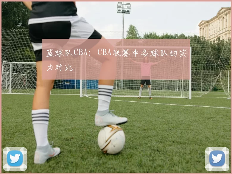 篮球队CBA：CBA联赛中各球队的实力对比