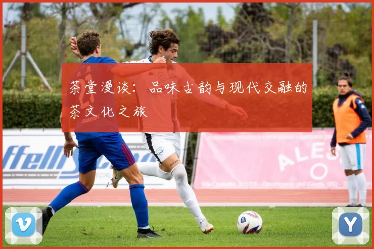 茶堂漫谈：品味古韵与现代交融的茶文化之旅