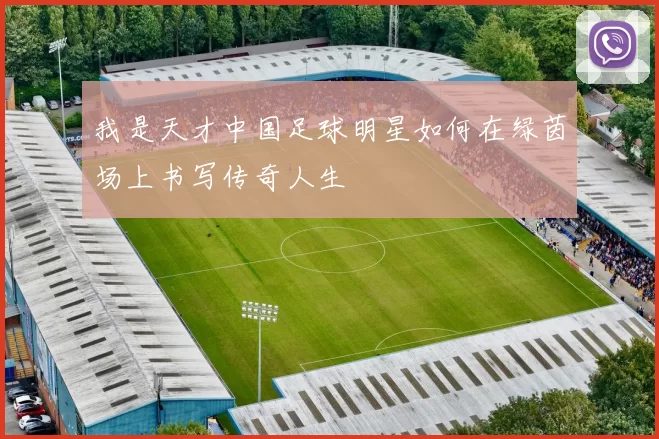 我是天才中国足球明星如何在绿茵场上书写传奇人生