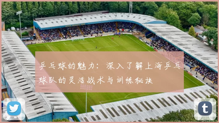 乒乓球的魅力：深入了解上海乒乓球队的灵活战术与训练秘诀