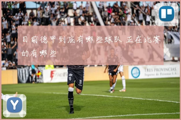 目前德甲到底有哪些球队 正在比赛的有哪些