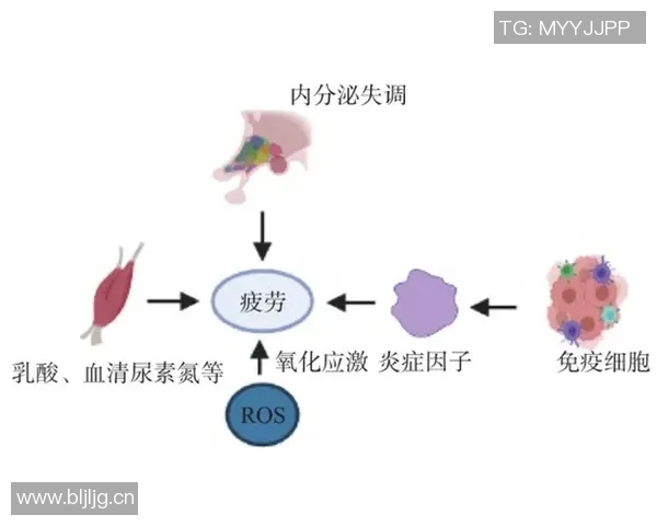 水中运动对人体健康的益处与科学原理探索